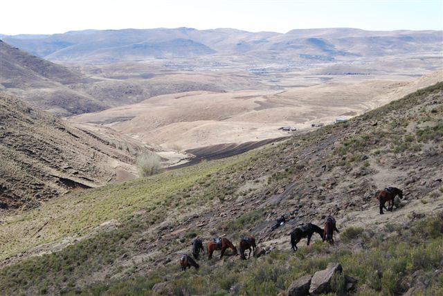 Lesotho, pony trekking.JPG